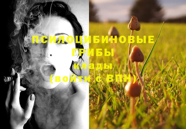 прущая мука Лиски