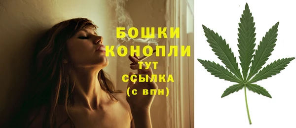 2c-b Лихославль