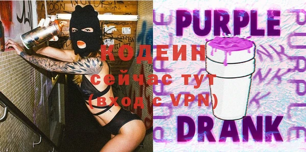 молекула духа Ладушкин